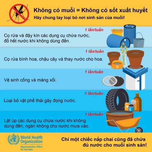 Loại bỏ nơi sinh sản của muỗi bằng 5 cách đơn giản để phòng bệnh sốt xuất huyết
