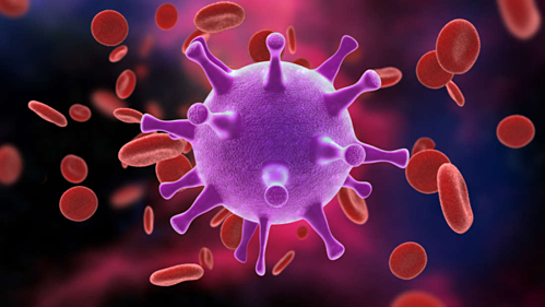 Loại bỏ hoàn toàn virus HIV ở chuột