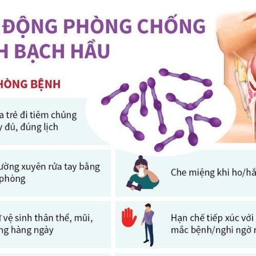 Tăng cường giám sát và phòng chống dịch bệnh bạch hầu