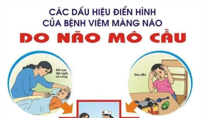 Tài liệu truyền thông Não mô cầu
