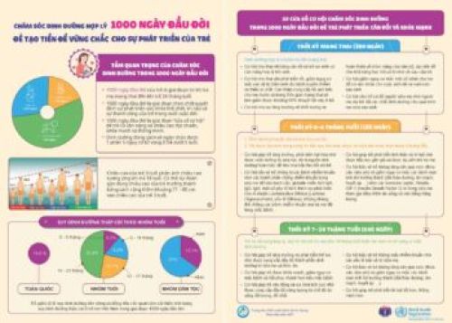 Tờ rơi – Chăm sóc dinh dưỡng hợp lý 1.000 ngày đầu đời để tạo tiền đề vững chắc cho sự phát triển của trẻ