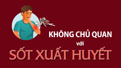 (Videographics) Không chủ quan với sốt xuất huyết