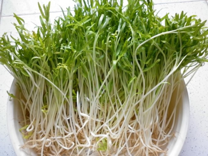 5 loại rau không nên nấu chín