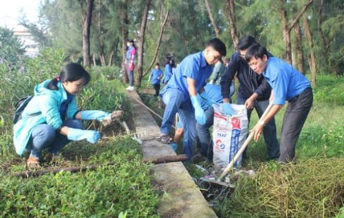 Vệ sinh môi trường gắn với sức khỏe cộng đồng