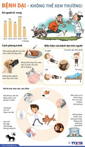 Infographic - Bệnh dại không thể xem thường