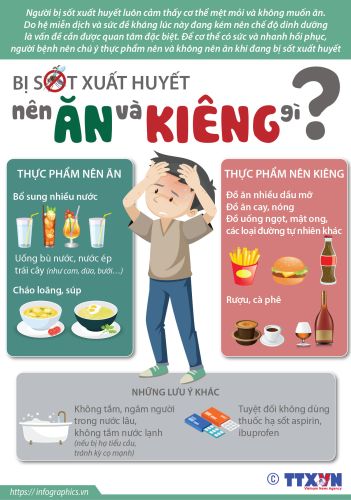 Infographic - Bị Sốt xuất huyết nên ăn và kiêng gì?