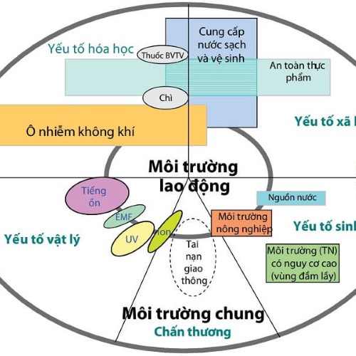 Bệnh nghề nghiệp và cách phòng tránh