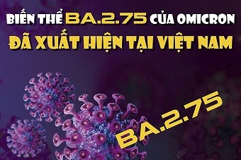 Bộ Y tế: Biến thể BA.2.75 của Omicron đã xuất hiện tại Việt Nam