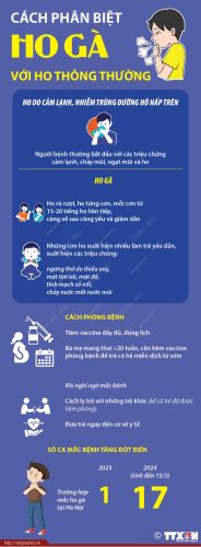 Innfographic - Cách phân biệt ho gà với ho thông thường