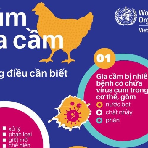 [Infographic] – Những điều cần biết để bảo vệ bản thân và giảm thiểu nguy cơ mắc cúm gia cầm
