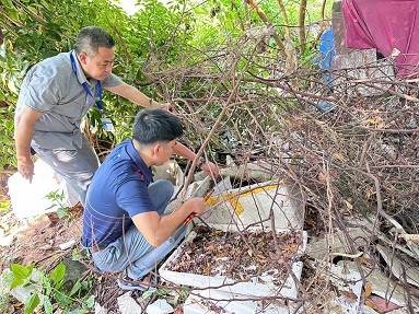 Điều tra, giám sát véc tơ để chủ động phòng bệnh sốt xuất huyết