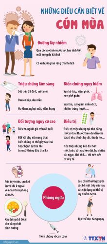 Infographic - Những điều cần biết về cúm mùa