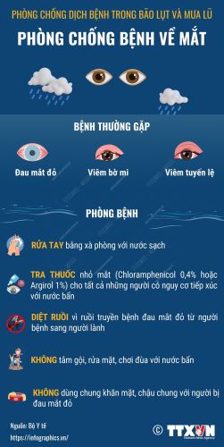 Infographic - Phòng chống bệnh về Mắt mùa mưa lũ
