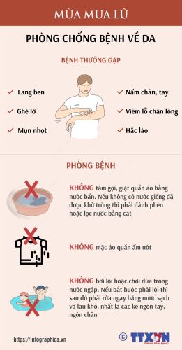 Infographic - Phòng chống bệnh về da mùa mưa lũ