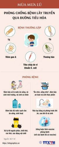 Infographic  - Phòng chống bệnh lây truyền qua đường tiêu hóa mùa mưa lũ