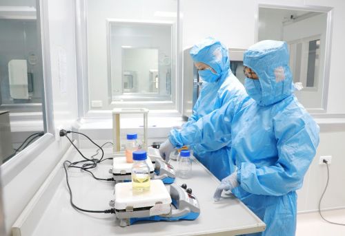 Chủ động triển khai Chương trình mục tiêu quốc gia về chăm sóc sức khỏe, dân số và phát triển