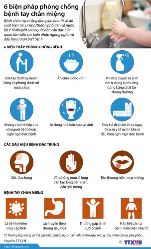 Infographic - 6 biện pháp phòng chống bệnh tay - chân - miệng