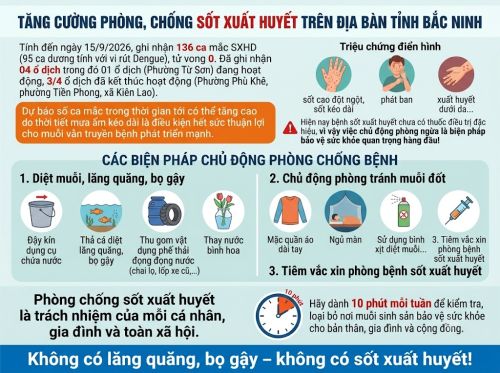 Chủ động phòng chống Sốt xuất huyết