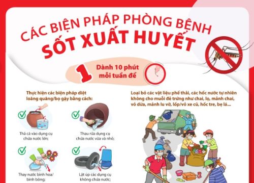 [Infographic]: Các biện pháp phòng bệnh Sốt xuất huyết