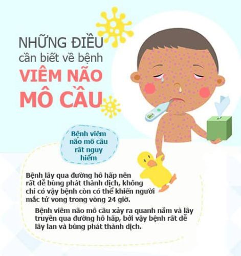 Những điều cần biết về bệnh viêm não mô cầu