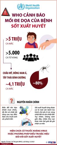 WHO cảnh báo mối đe dọa của bệnh sốt xuất huyết