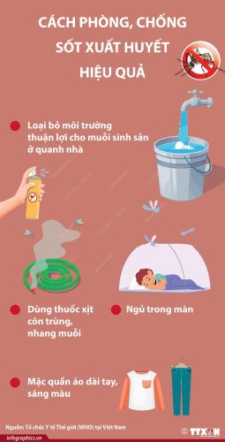 Cách phòng, chống sốt xuất huyết hiệu quả