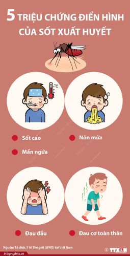 5 triệu chứng điển hình của sốt xuất huyết