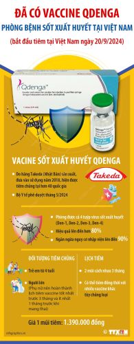 Đã có vaccine Qdenga phòng bệnh sốt xuất huyết tại Việt Nam
