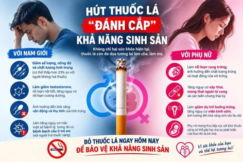Thuốc lá đe dọa khả năng sinh sản của cả nam và nữ