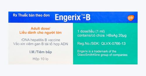 Vắc xin Engerix B (Bỉ)