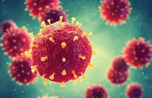 Virus Nipah: Cảnh giác đúng mức, không hoang mang trước nguy cơ xâm nhập